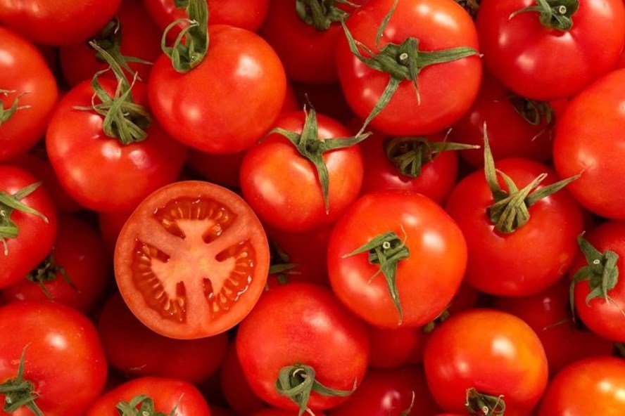 bảo quản cà chua